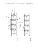 Assay Methods Using Nicking Endonucleases diagram and image