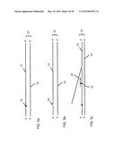 Assay Methods Using Nicking Endonucleases diagram and image