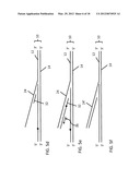 Assay Methods Using Nicking Endonucleases diagram and image