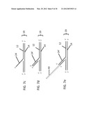 Assay Methods Using Nicking Endonucleases diagram and image