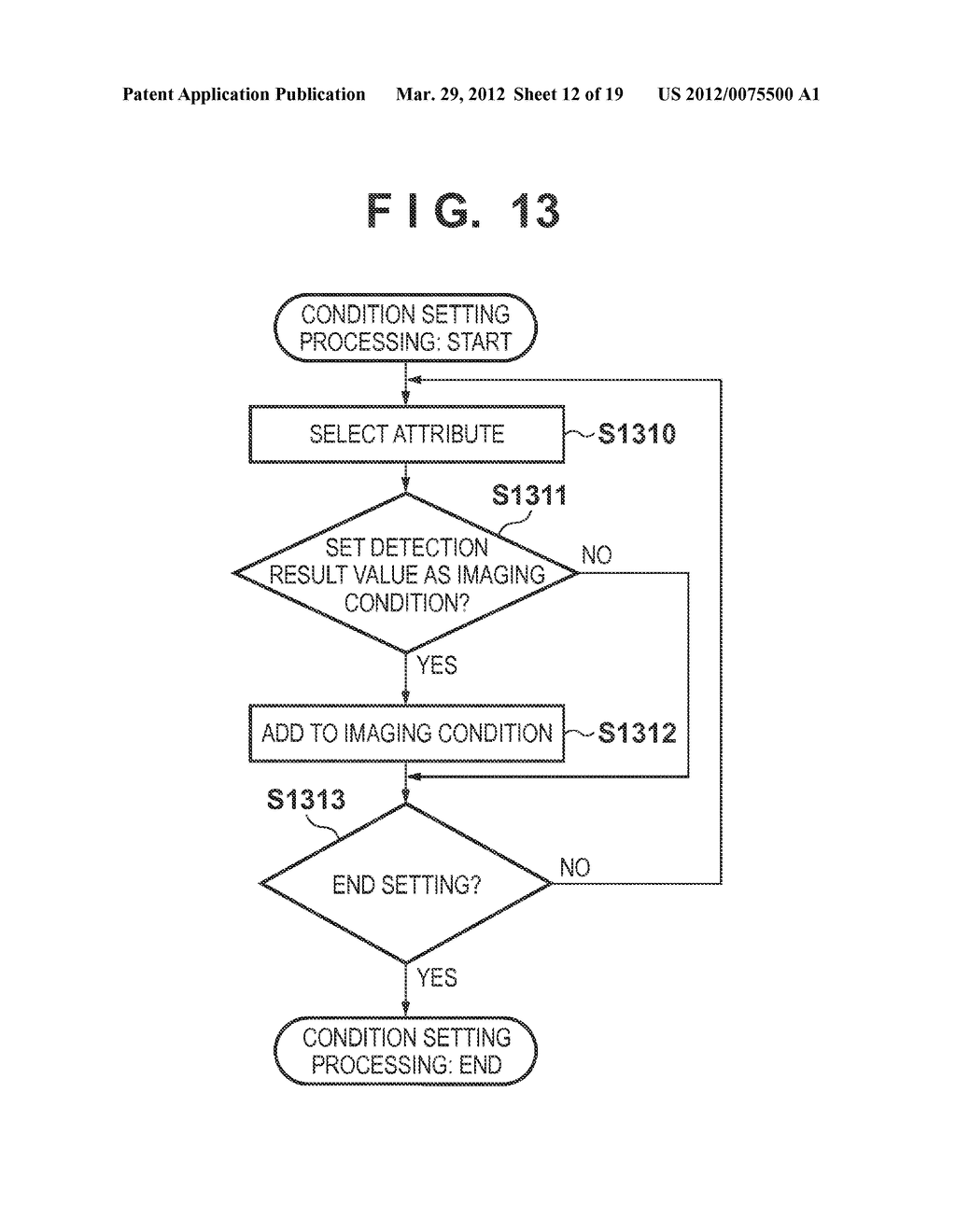 IMAGING APPARATUS, IMAGING METHOD, IMAGE PROCESSING APPARATUS, AND IMAGE     PROCESSING METHOD - diagram, schematic, and image 13