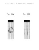 LIQUID CRYSTAL DISPLAY diagram and image