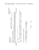 SYSTEMS AND METHOD FOR ORTHOGONAL FREQUENCY DIVISION MULTIPLEXING diagram and image