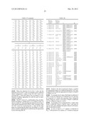 METHOD AND APPARATUS FOR EFFICIENT FEEDBACK IN A WIRELESS COMMUNICATION     SYSTEM SUPPORTING MULTIPLE ANTENNA diagram and image