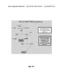 PHOSPHODIESTERASE INHIBITORS AND USES THEREOF diagram and image