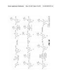 PHOSPHODIESTERASE INHIBITORS AND USES THEREOF diagram and image