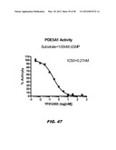 PHOSPHODIESTERASE INHIBITORS AND USES THEREOF diagram and image