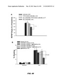 PHOSPHODIESTERASE INHIBITORS AND USES THEREOF diagram and image