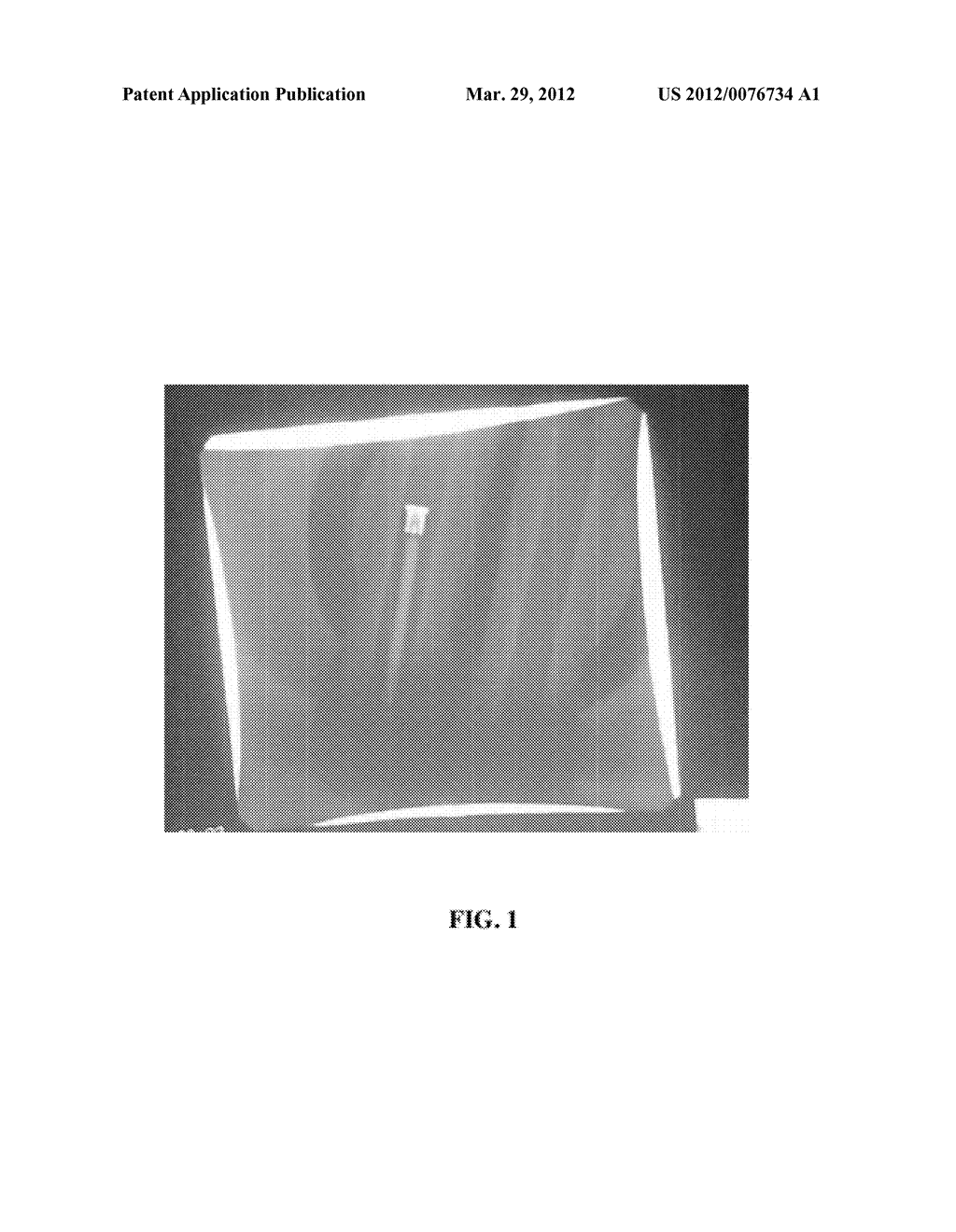 RADIOPAQUE ANTIBIOTIC DENTAL PASTE AND USES THEREOF - diagram, schematic, and image 02