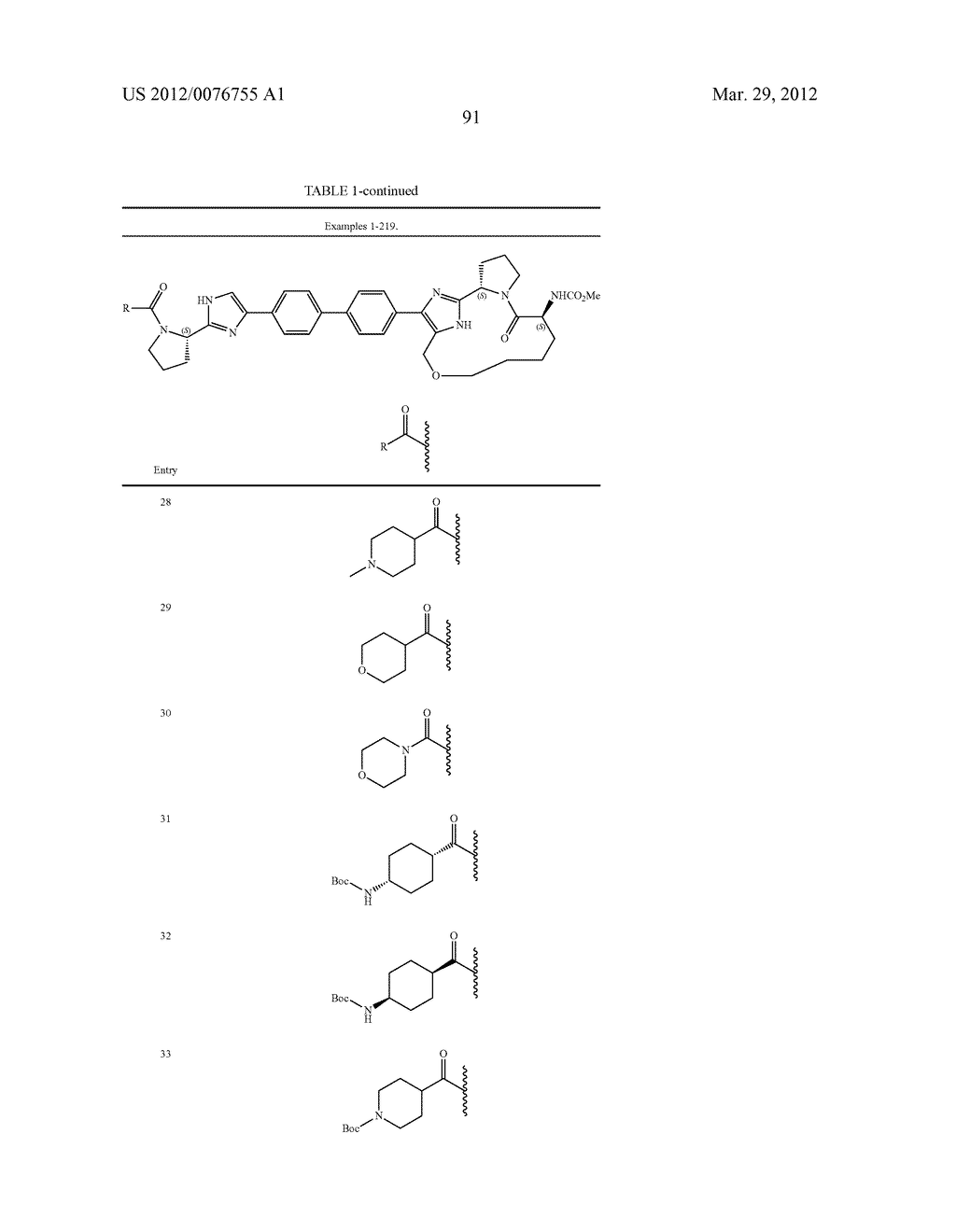 Hepatitis C Virus Inhibitors - diagram, schematic, and image 92