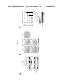 INDUCED PLURIPOTENT STEM CELL GENERATION USING TWO FACTORS AND P53     INACTIVATION diagram and image