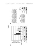 INDUCED PLURIPOTENT STEM CELL GENERATION USING TWO FACTORS AND P53     INACTIVATION diagram and image