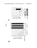 INDUCED PLURIPOTENT STEM CELL GENERATION USING TWO FACTORS AND P53     INACTIVATION diagram and image