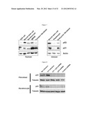 INDUCED PLURIPOTENT STEM CELL GENERATION USING TWO FACTORS AND P53     INACTIVATION diagram and image