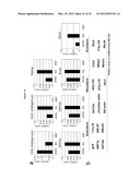 INDUCED PLURIPOTENT STEM CELL GENERATION USING TWO FACTORS AND P53     INACTIVATION diagram and image