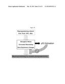 INDUCED PLURIPOTENT STEM CELL GENERATION USING TWO FACTORS AND P53     INACTIVATION diagram and image