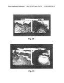 METHODS AND PHARMACEUTICAL COMPOSITIONS FOR HEALING WOUNDS diagram and image