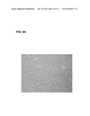 ANTI-FIBROBLASTIC FLUOROCHEMICAL EMULSION THERAPIES diagram and image