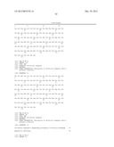 ANTIBODY SELECTIVE FOR A TUMOR NECROSIS FACTOR-RELATED APOPTOSIS-INDUCING     LIGAND RECEPTOR AND USES THEREOF diagram and image