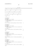 ANTIBODY SELECTIVE FOR A TUMOR NECROSIS FACTOR-RELATED APOPTOSIS-INDUCING     LIGAND RECEPTOR AND USES THEREOF diagram and image