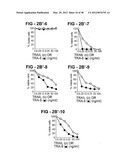 ANTIBODY SELECTIVE FOR A TUMOR NECROSIS FACTOR-RELATED APOPTOSIS-INDUCING     LIGAND RECEPTOR AND USES THEREOF diagram and image