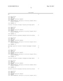 ANTIBODY SELECTIVE FOR A TUMOR NECROSIS FACTOR-RELATED APOPTOSIS-INDUCING     LIGAND RECEPTOR AND USES THEREOF diagram and image