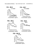 ANTIBODY SELECTIVE FOR A TUMOR NECROSIS FACTOR-RELATED APOPTOSIS-INDUCING     LIGAND RECEPTOR AND USES THEREOF diagram and image