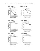 ANTIBODY SELECTIVE FOR A TUMOR NECROSIS FACTOR-RELATED APOPTOSIS-INDUCING     LIGAND RECEPTOR AND USES THEREOF diagram and image