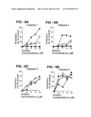 ANTIBODY SELECTIVE FOR A TUMOR NECROSIS FACTOR-RELATED APOPTOSIS-INDUCING     LIGAND RECEPTOR AND USES THEREOF diagram and image