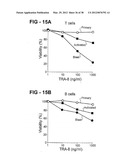 ANTIBODY SELECTIVE FOR A TUMOR NECROSIS FACTOR-RELATED APOPTOSIS-INDUCING     LIGAND RECEPTOR AND USES THEREOF diagram and image