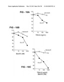 ANTIBODY SELECTIVE FOR A TUMOR NECROSIS FACTOR-RELATED APOPTOSIS-INDUCING     LIGAND RECEPTOR AND USES THEREOF diagram and image