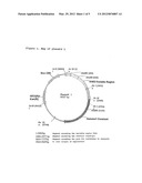 PLASMIDS WITH IMMUNOLOGICAL ACTION diagram and image