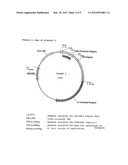 PLASMIDS WITH IMMUNOLOGICAL ACTION diagram and image