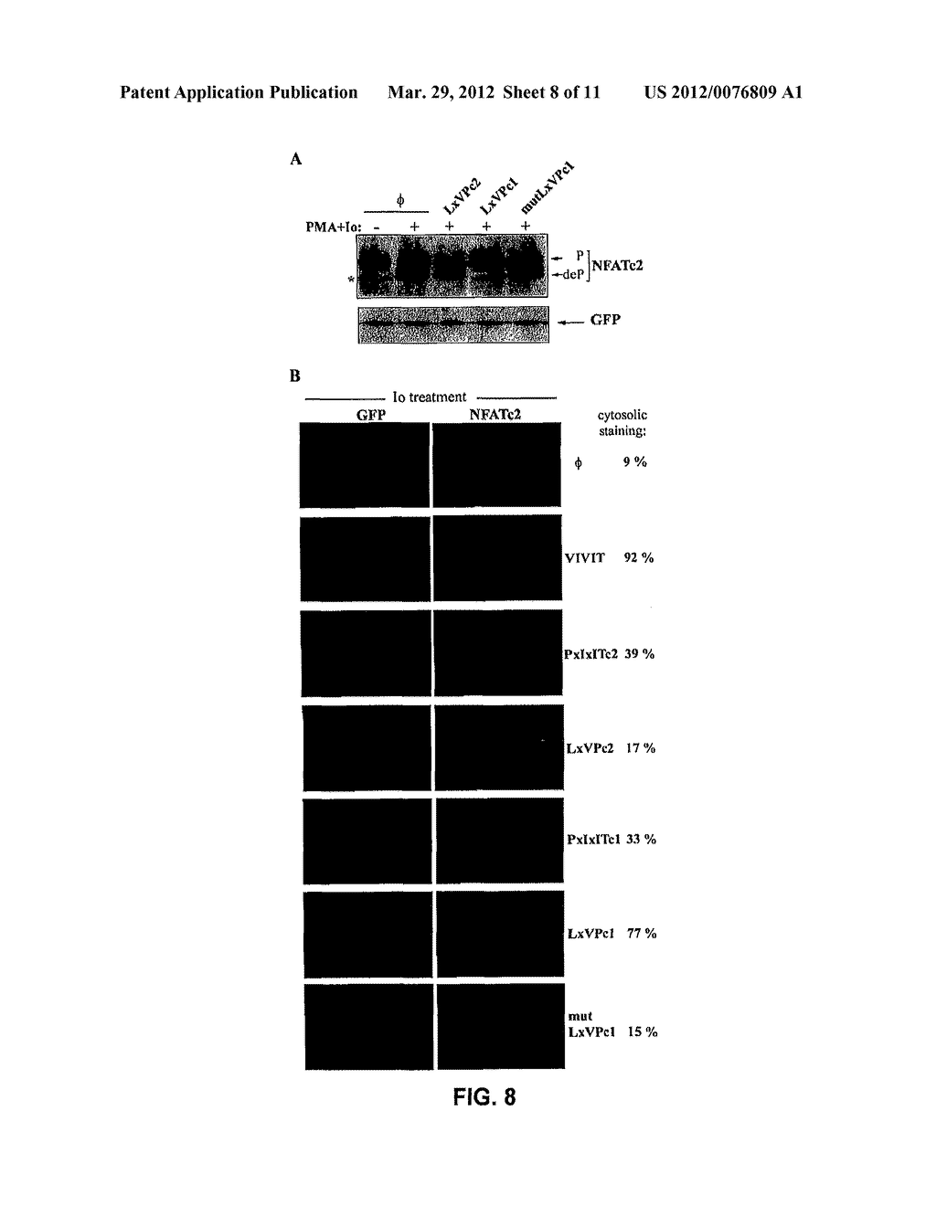 METHOD TO INHIBIT THE BIOLOGICAL ACTIVITY OF CALCINEURIN WITH SELECTIVE     PEPTIDES - diagram, schematic, and image 09