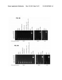 ANTIGENIC CHIMERIC TICK-BORNE ENCEPHALITIS VIRUS/DENGUE VIRUS TYPE 4     RECOMBINANT VIRUSES diagram and image