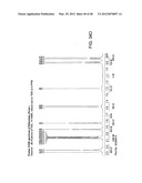 FORMS OF RIFAXIMIN AND USES THEREOF diagram and image