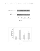 PHARMACEUTICAL COMPOSITIONS COMPRISING EXTRACTS OF SARCOPOTERIUM SPINOSUM,     COMPONENTS THEREOF, AND USES THEREOF diagram and image