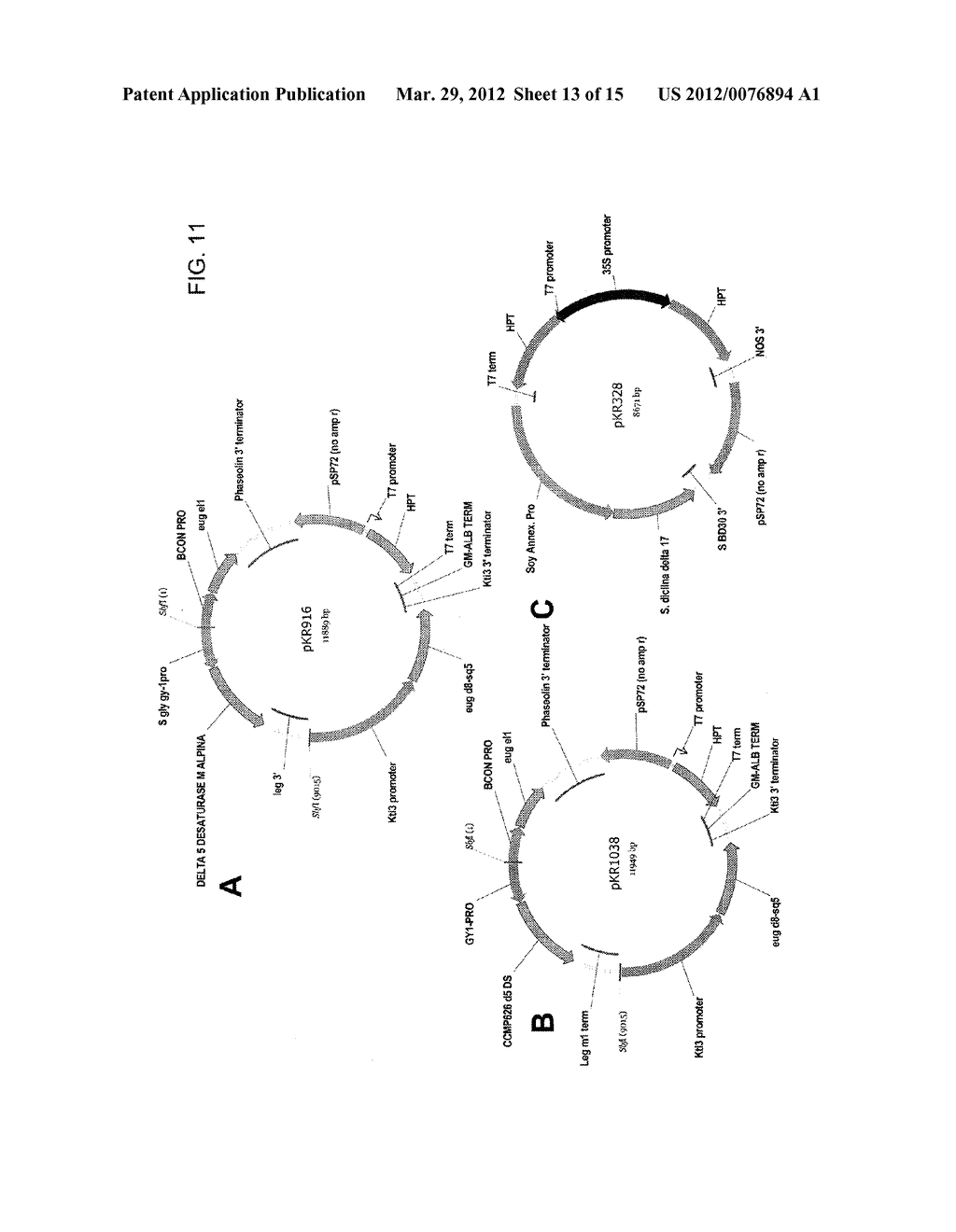 DELTA-5 DESATURASE AND ITS USE IN MAKING POLYUNSATURATED FATTY ACIDS - diagram, schematic, and image 14