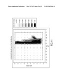 BLENDED FLUOROPOLYMER COMPOSITIONS diagram and image