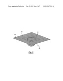 MICROLAYER STRUCTURES AND METHODS diagram and image