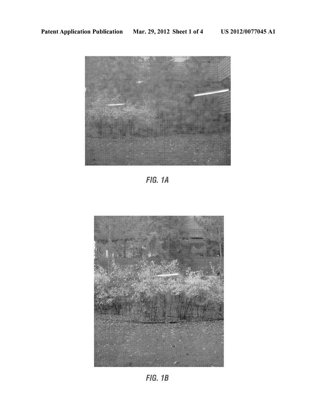 SOIL RESISTANT CLEANER AND SURFACE TREATMENT - diagram, schematic, and image 02