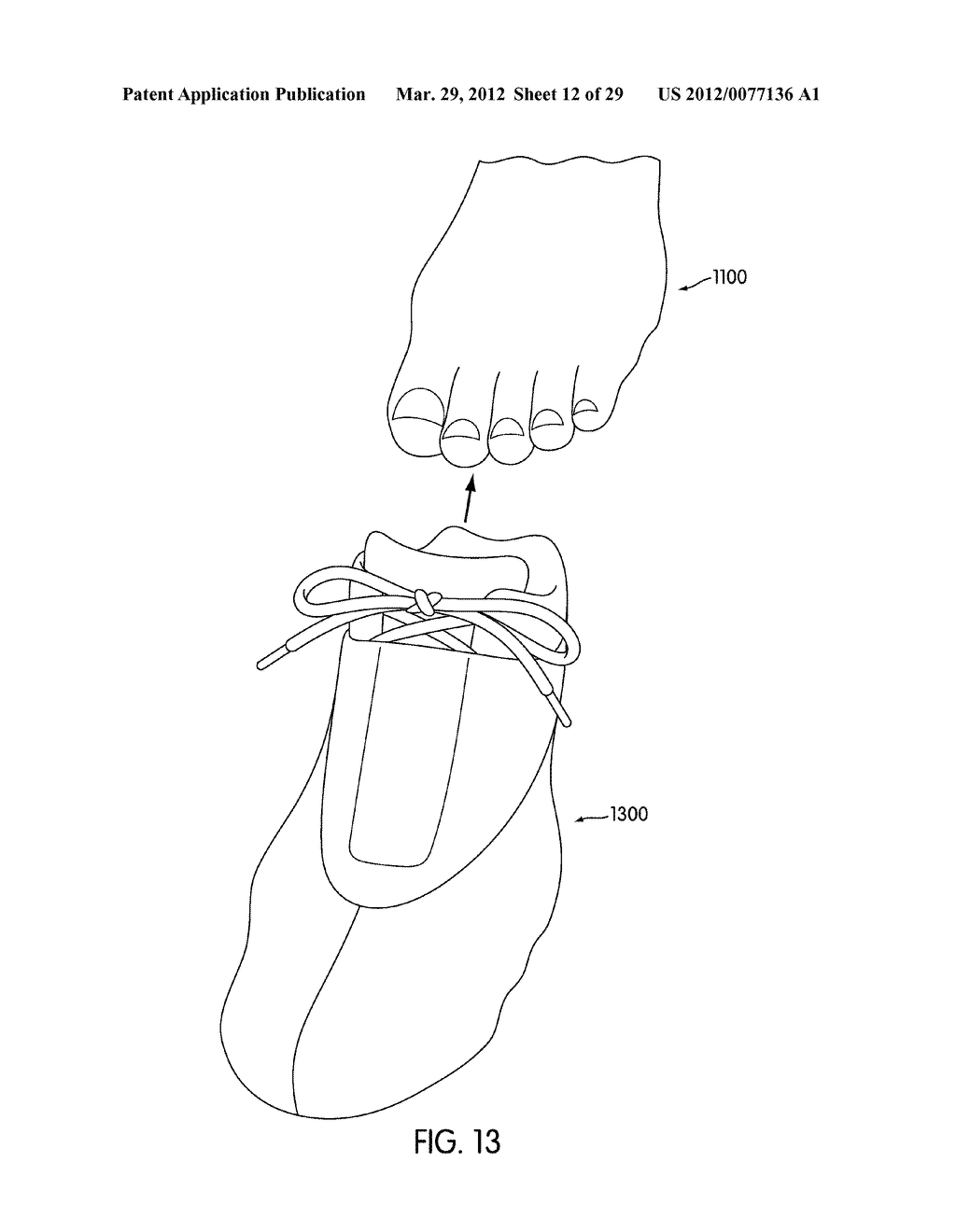 Method of Custom Fitting an Article of Footwear and Apparatus Including a     Container - diagram, schematic, and image 13