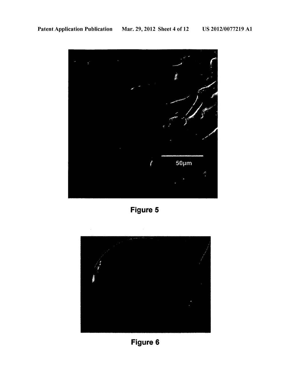 VIBRATING MICROPLATE BIOSENSING FOR CHARACTERISING PROPERTIES OR BEHAVIOUR     OF BIOLOGICAL CELLS - diagram, schematic, and image 05