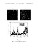 VIBRATING MICROPLATE BIOSENSING FOR CHARACTERISING PROPERTIES OR BEHAVIOUR     OF BIOLOGICAL CELLS diagram and image