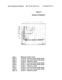 Expression Process diagram and image