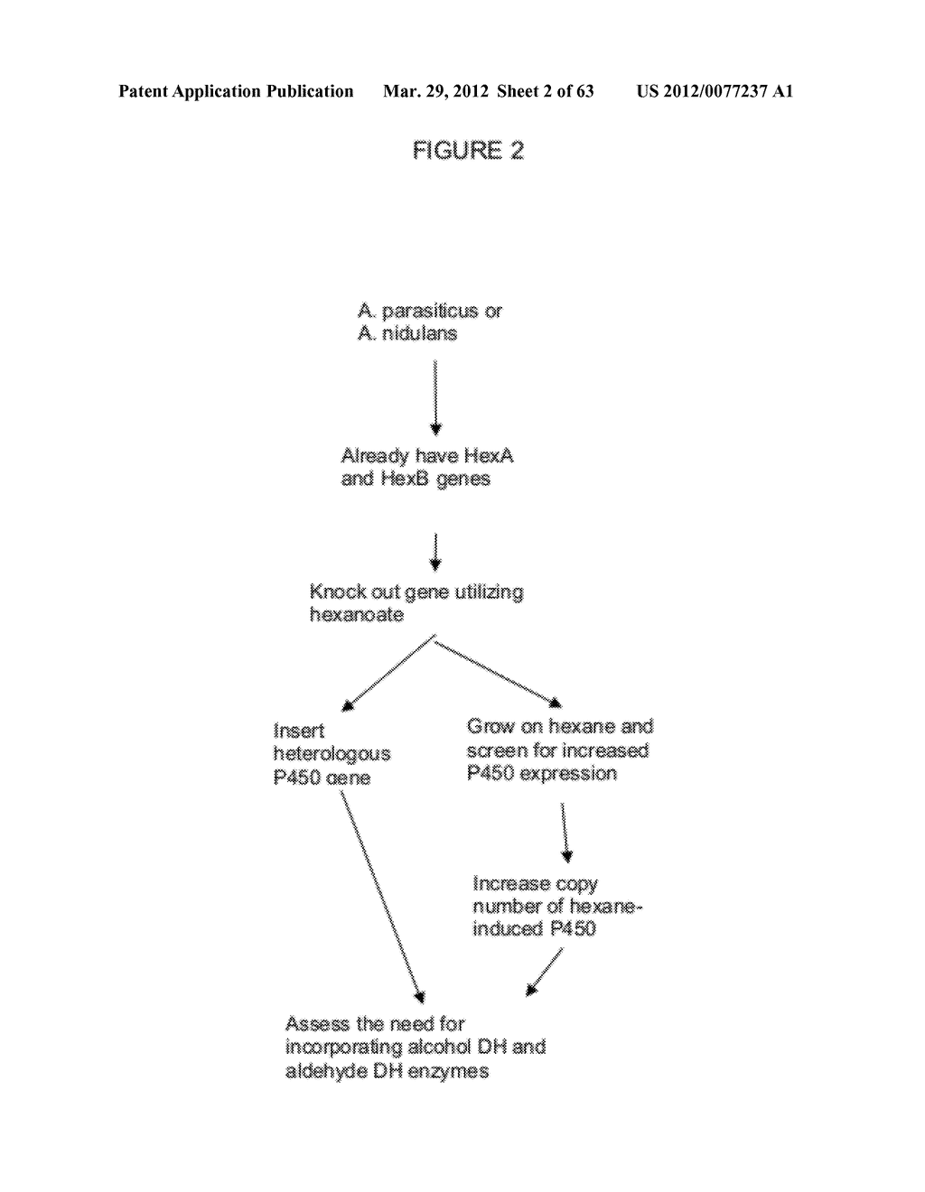 BIOLOGICAL METHODS FOR PREPARING ADIPIC ACID - diagram, schematic, and image 03