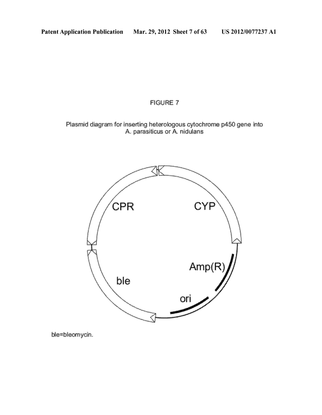 BIOLOGICAL METHODS FOR PREPARING ADIPIC ACID - diagram, schematic, and image 08