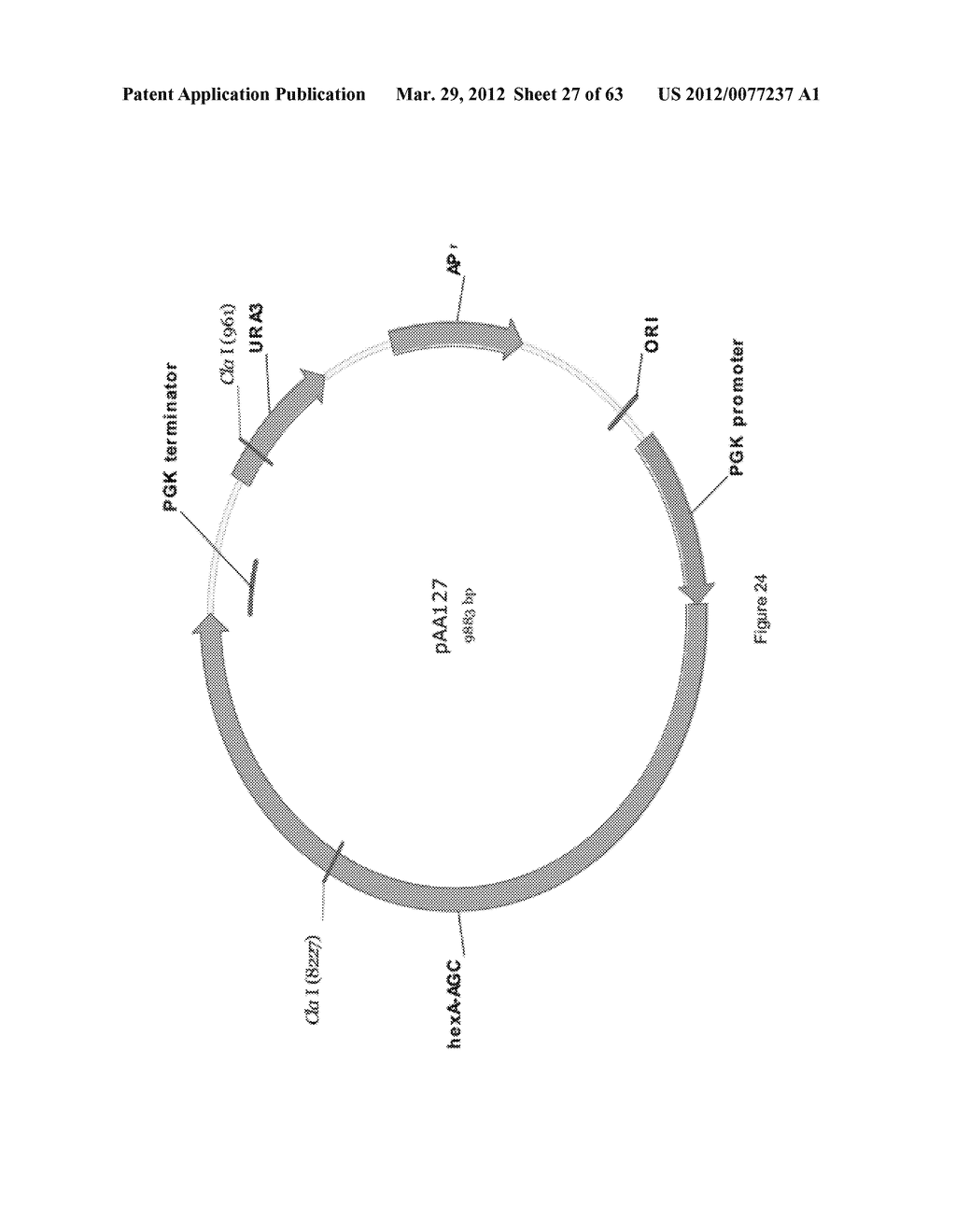 BIOLOGICAL METHODS FOR PREPARING ADIPIC ACID - diagram, schematic, and image 28