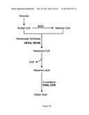 BIOLOGICAL METHODS FOR PREPARING ADIPIC ACID diagram and image
