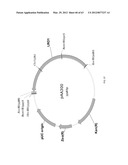 BIOLOGICAL METHODS FOR PREPARING ADIPIC ACID diagram and image